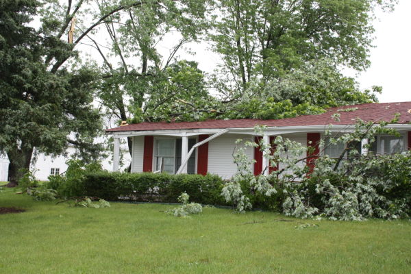 Tree Limbs Damage Home